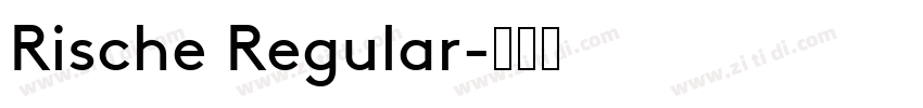 Rische Regular字体转换